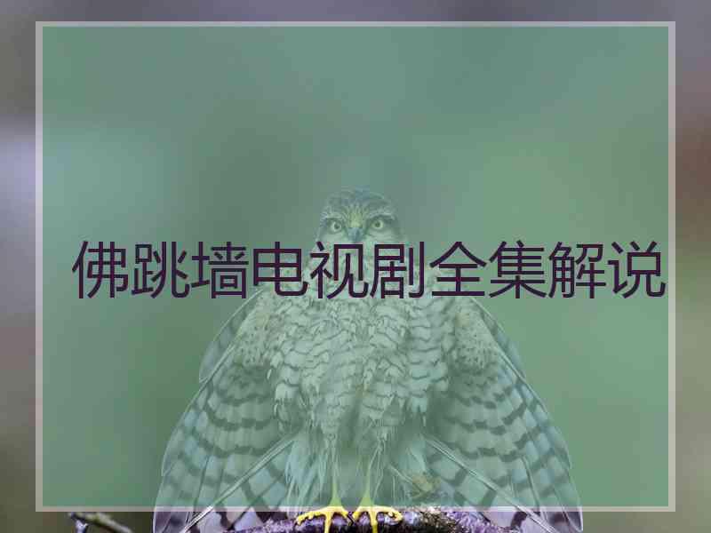 佛跳墙电视剧全集解说