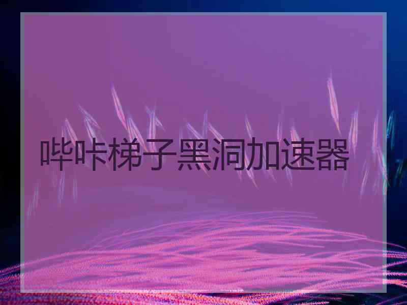 哔咔梯子黑洞加速器