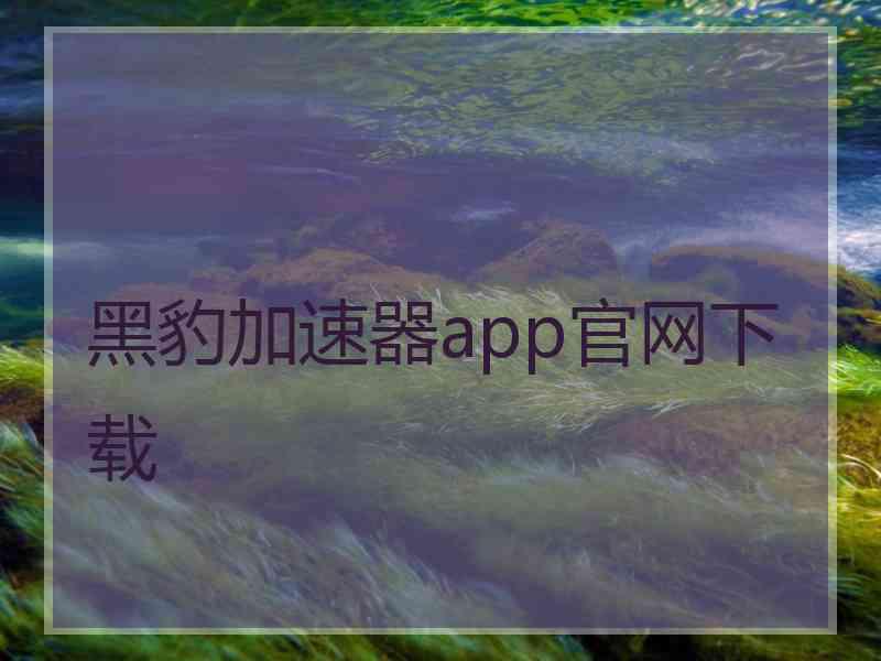 黑豹加速器app官网下载
