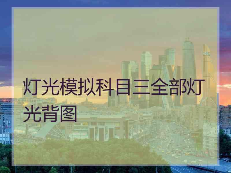 灯光模拟科目三全部灯光背图