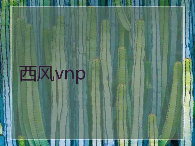 西风vnp