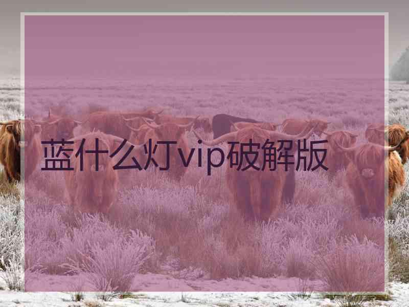 蓝什么灯vip破解版