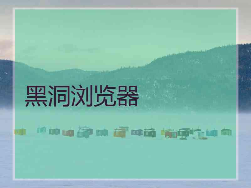 黑洞浏览器