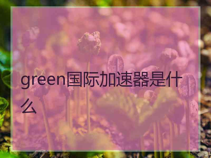 green国际加速器是什么