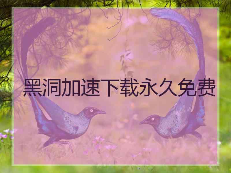 黑洞加速下载永久免费