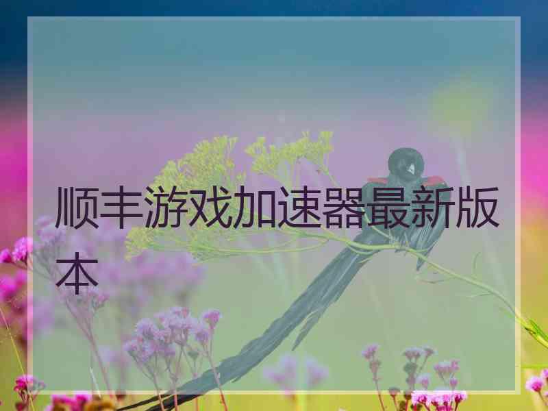 顺丰游戏加速器最新版本