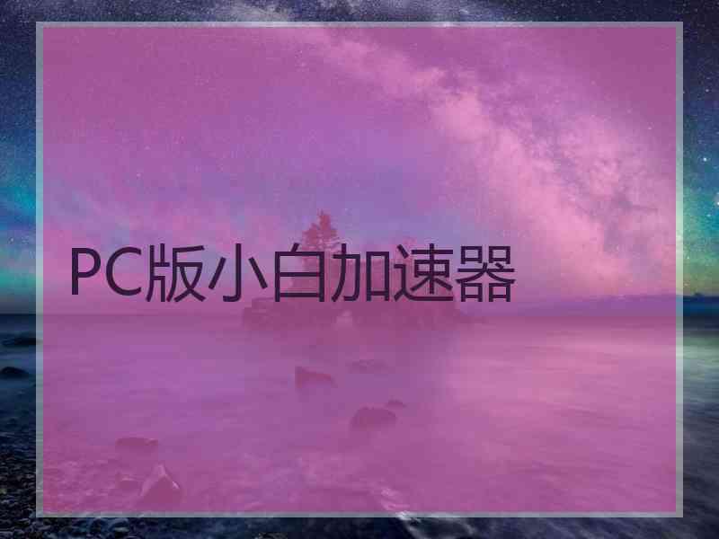 PC版小白加速器