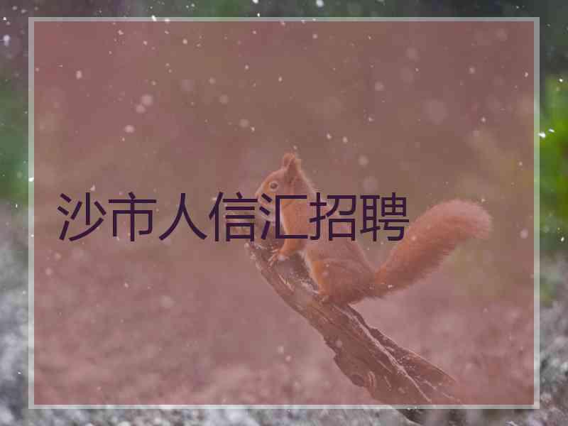 沙市人信汇招聘