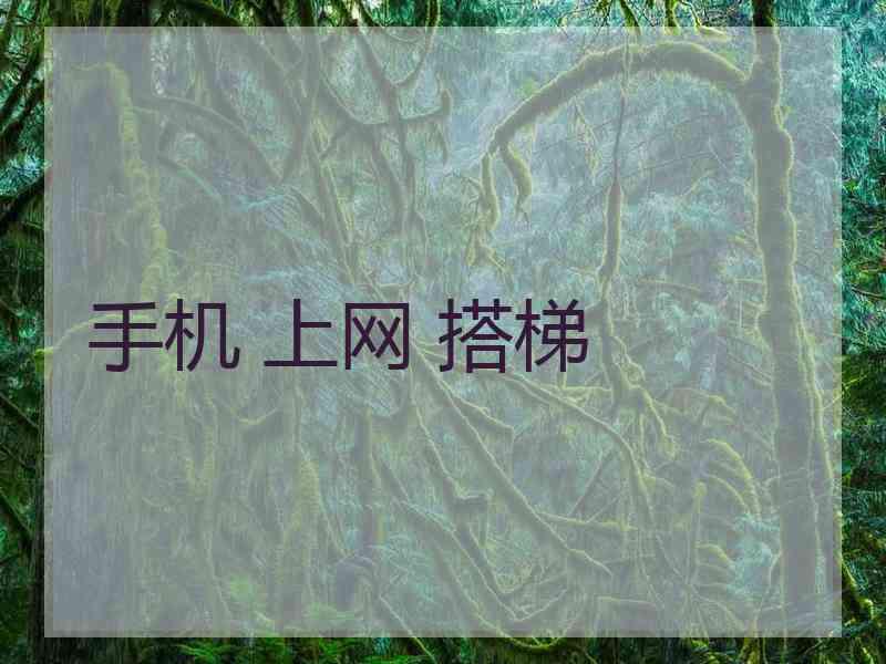 手机 上网 搭梯