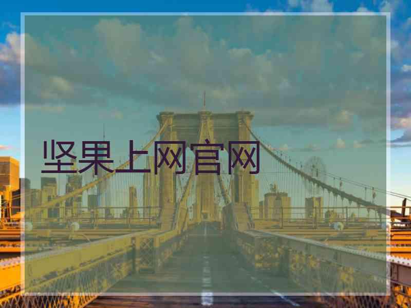 坚果上网官网
