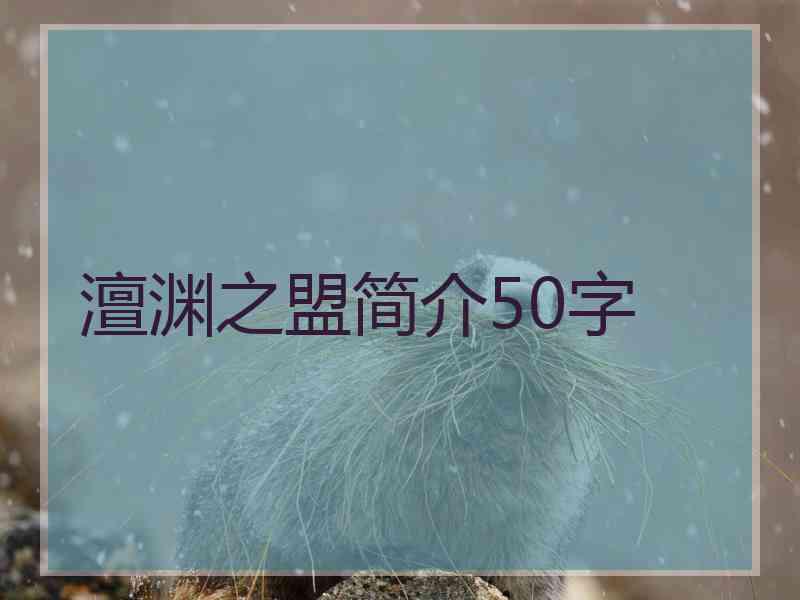 澶渊之盟简介50字