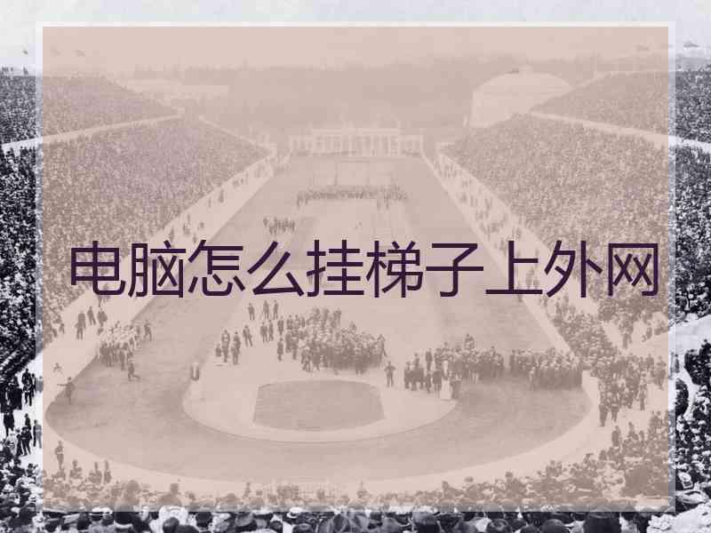 电脑怎么挂梯子上外网