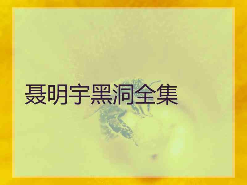 聂明宇黑洞全集