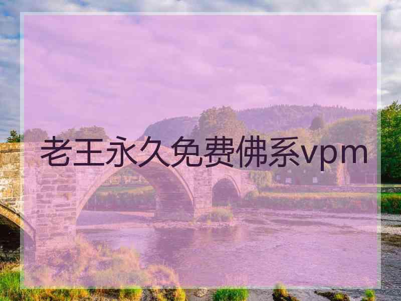 老王永久免费佛系vpm