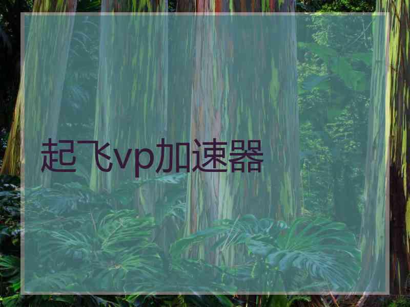 起飞vp加速器