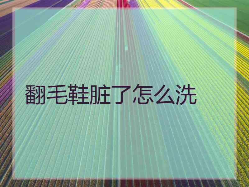 翻毛鞋脏了怎么洗