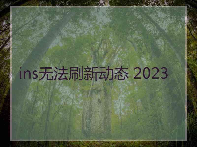 ins无法刷新动态 2023