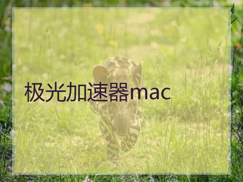 极光加速器mac