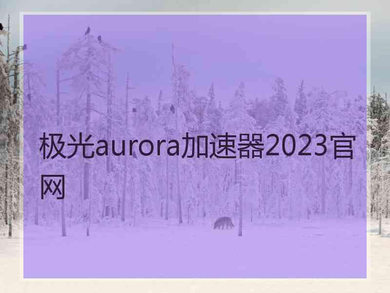 极光aurora加速器2023官网
