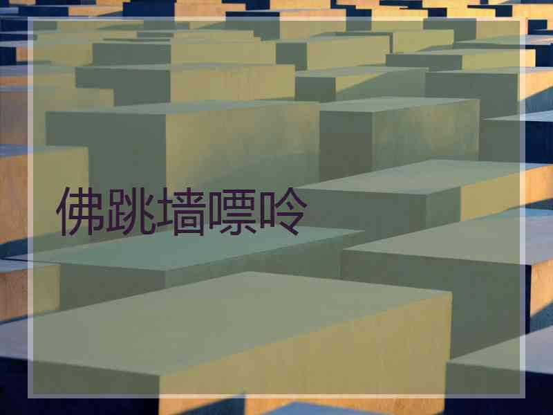 佛跳墙嘌呤