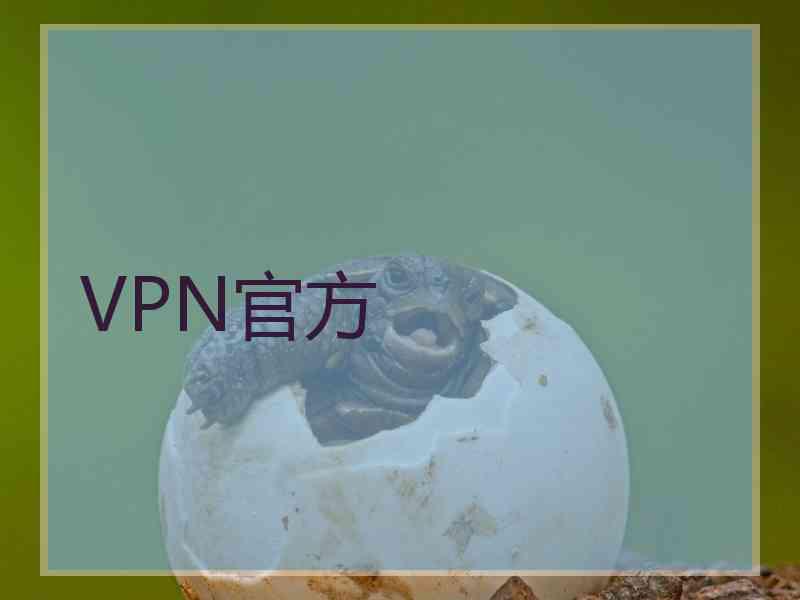 VPN官方