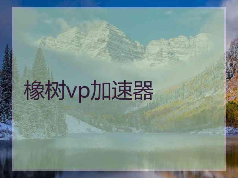橡树vp加速器