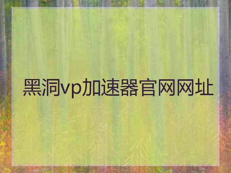 黑洞vp加速器官网网址