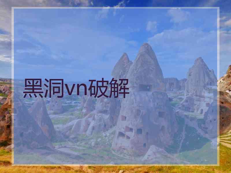 黑洞vn破解