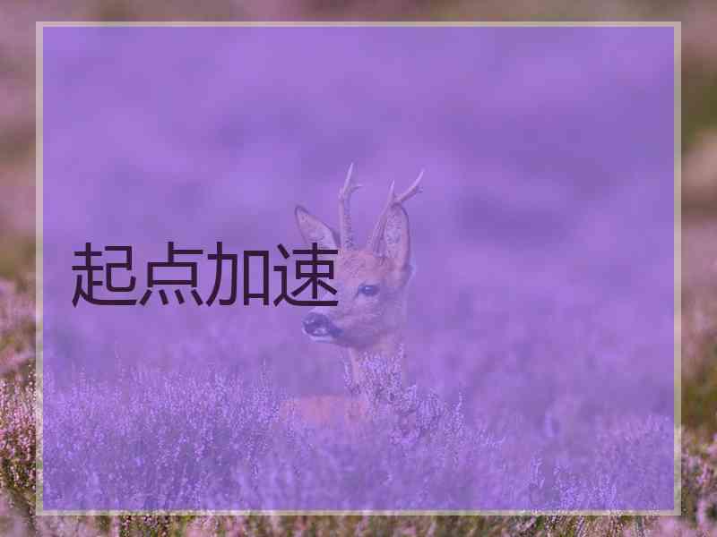 起点加速