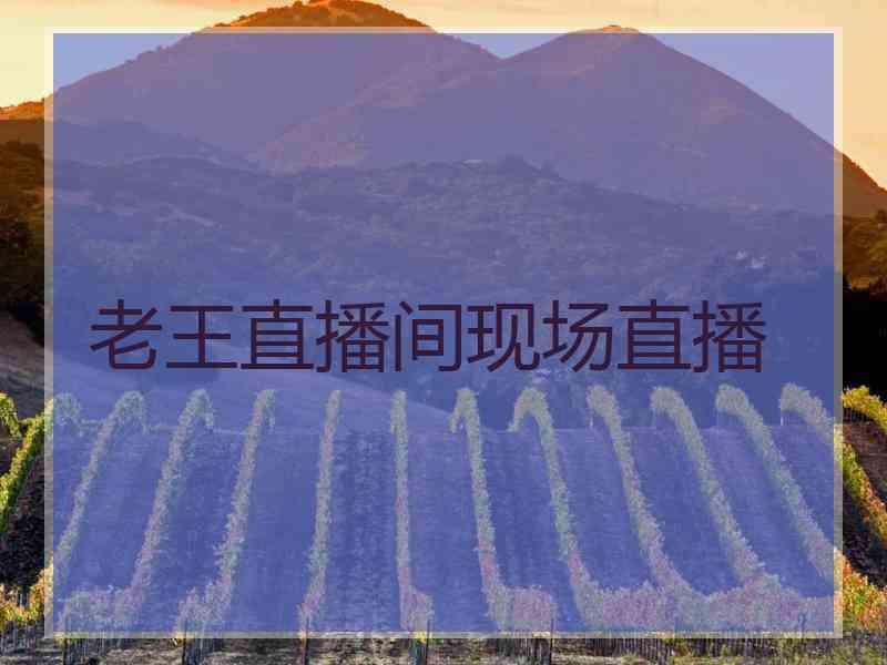 老王直播间现场直播