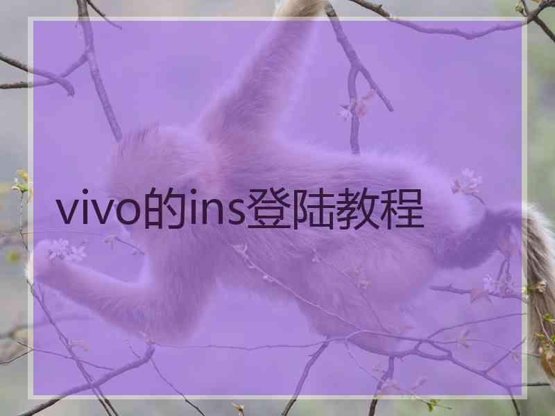 vivo的ins登陆教程