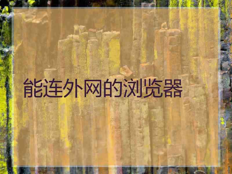 能连外网的浏览器
