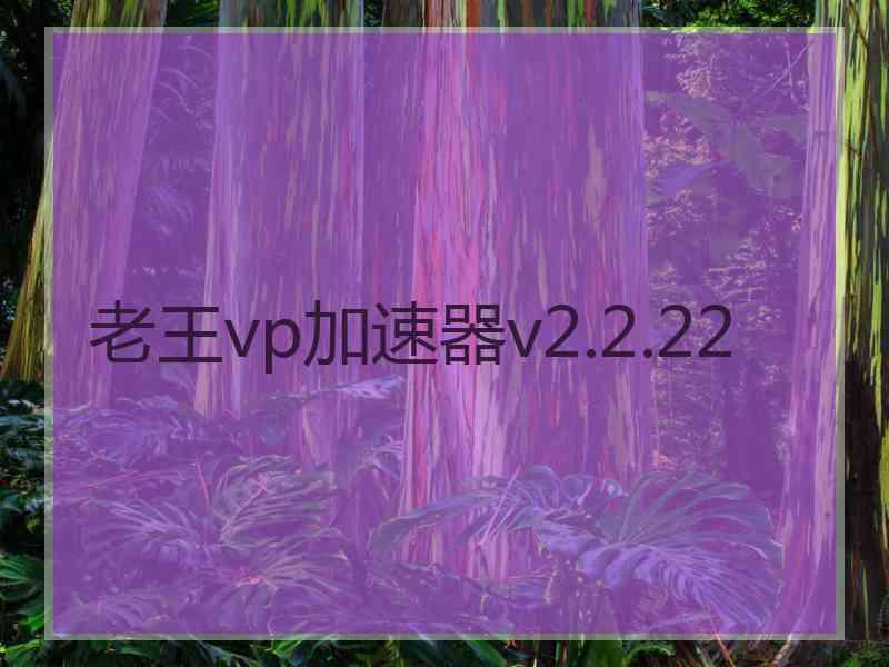 老王vp加速器v2.2.22