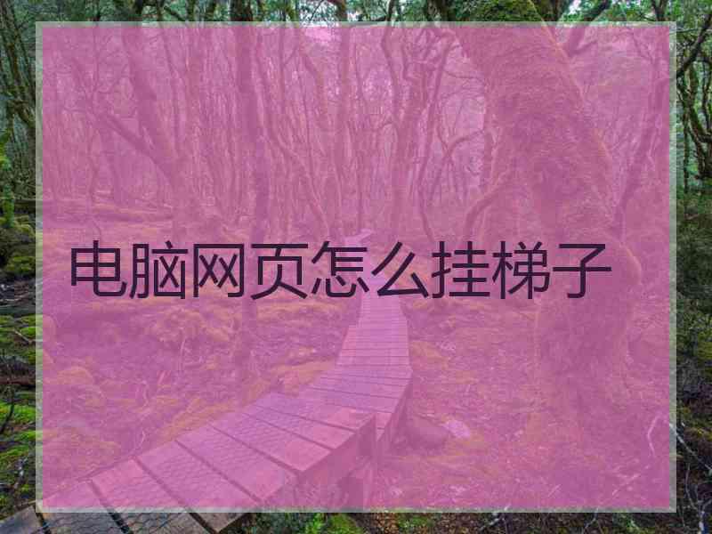 电脑网页怎么挂梯子