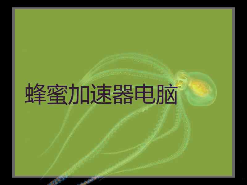 蜂蜜加速器电脑