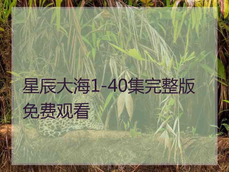 星辰大海1-40集完整版免费观看