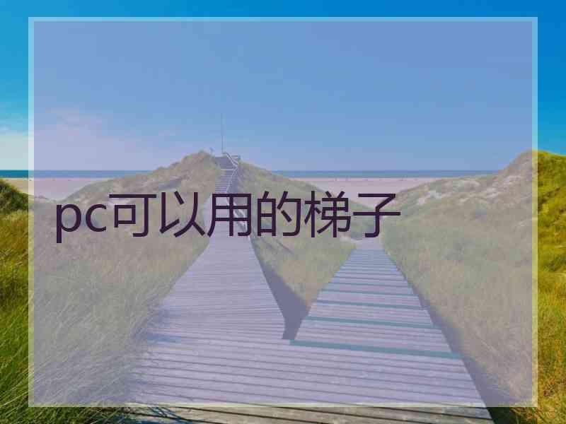 pc可以用的梯子