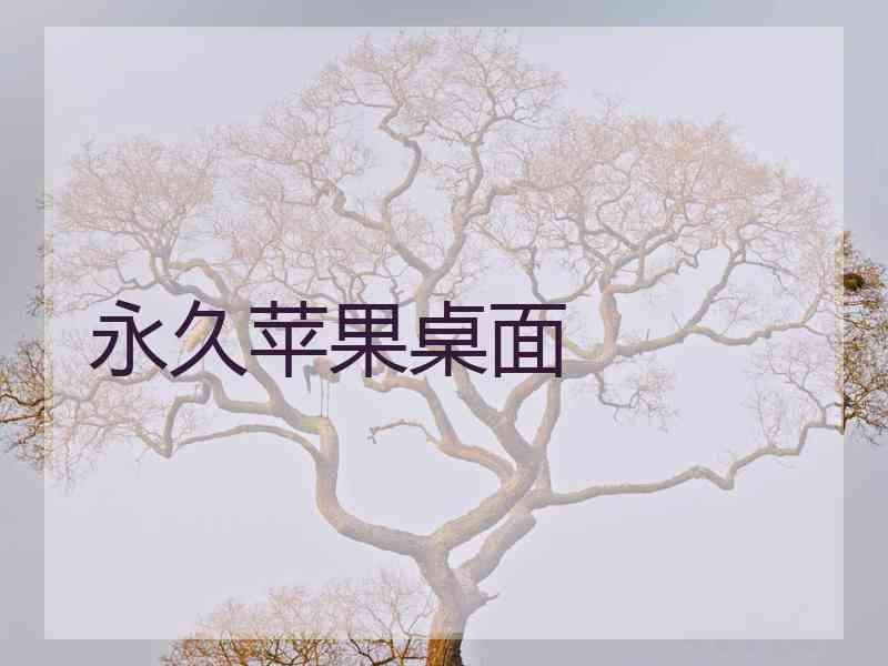 永久苹果桌面