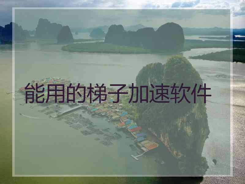 能用的梯子加速软件