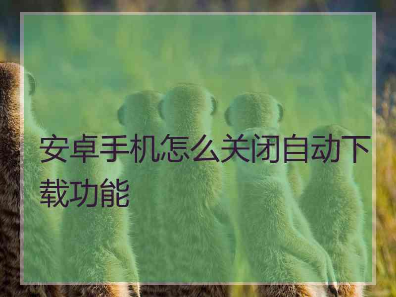 安卓手机怎么关闭自动下载功能