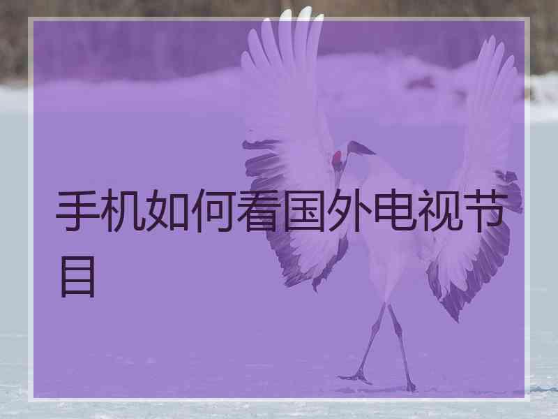 手机如何看国外电视节目
