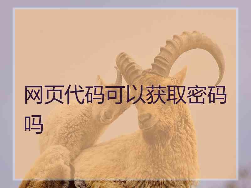 网页代码可以获取密码吗