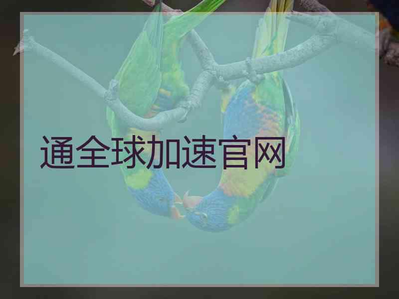 通全球加速官网