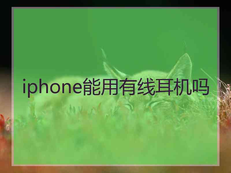 iphone能用有线耳机吗