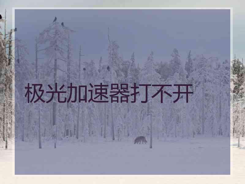 极光加速器打不开