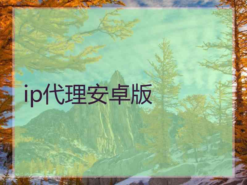 ip代理安卓版