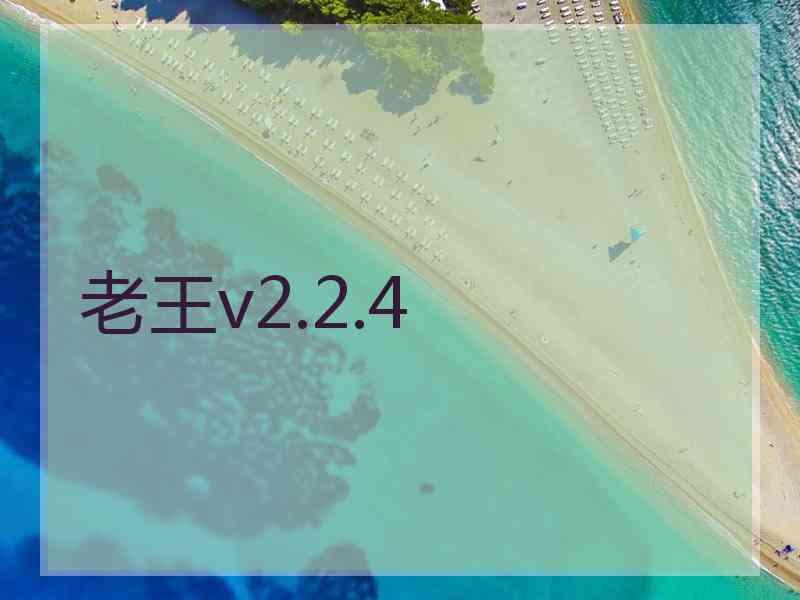 老王v2.2.4
