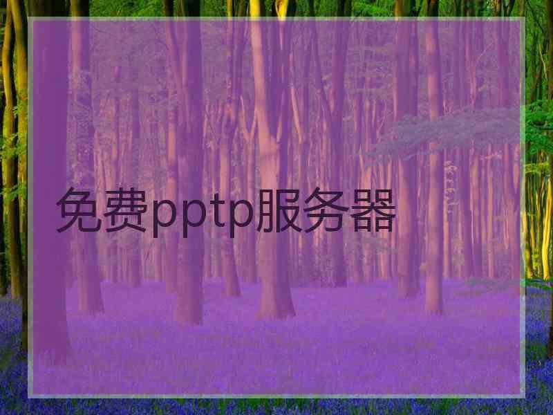 免费pptp服务器