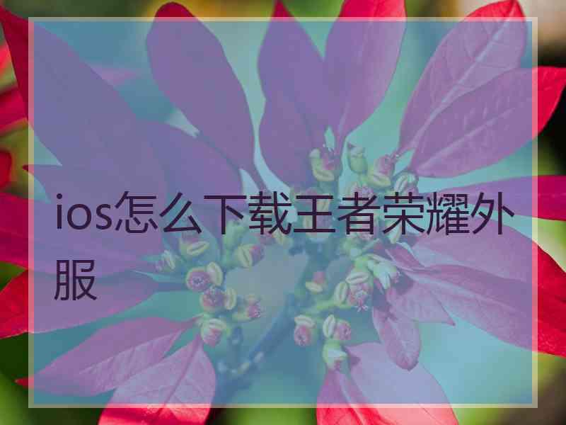 ios怎么下载王者荣耀外服