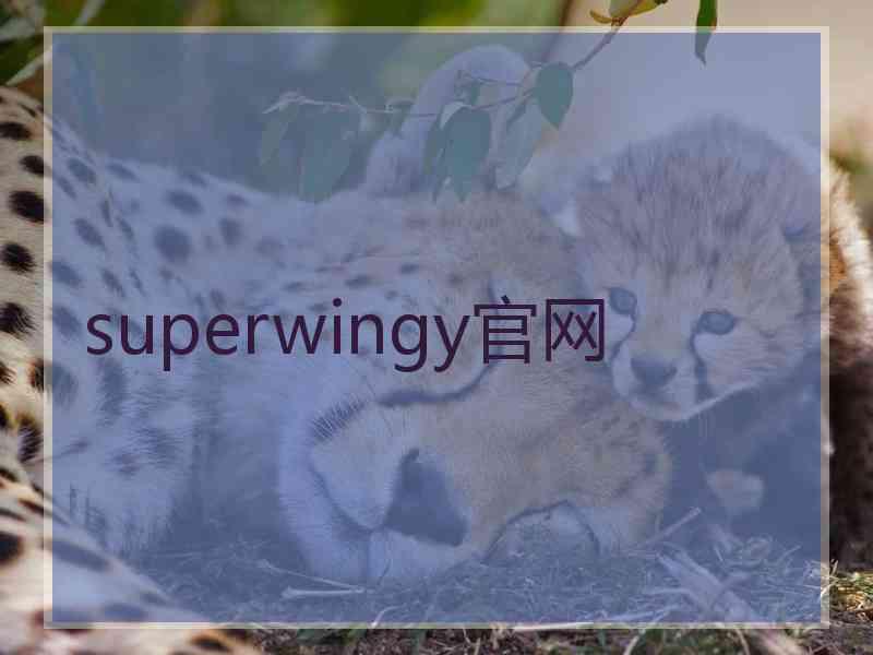 superwingy官网